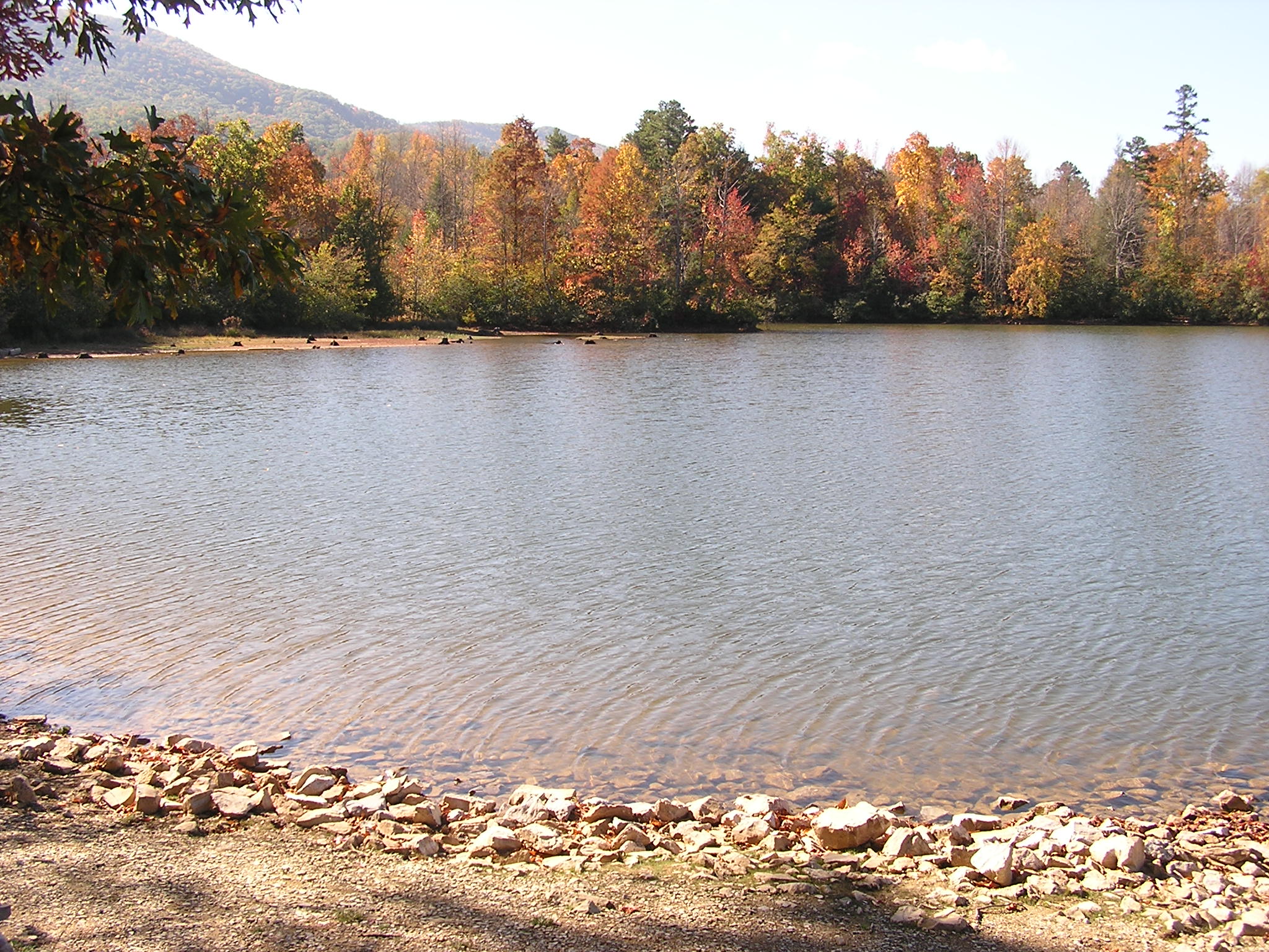 p1010006.jpg